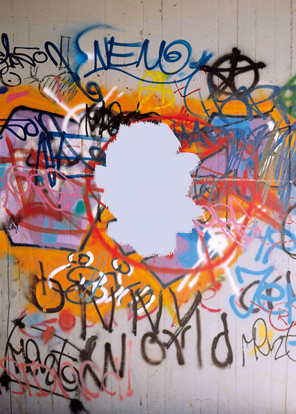 ELIMINADOR DE GRAFITIS