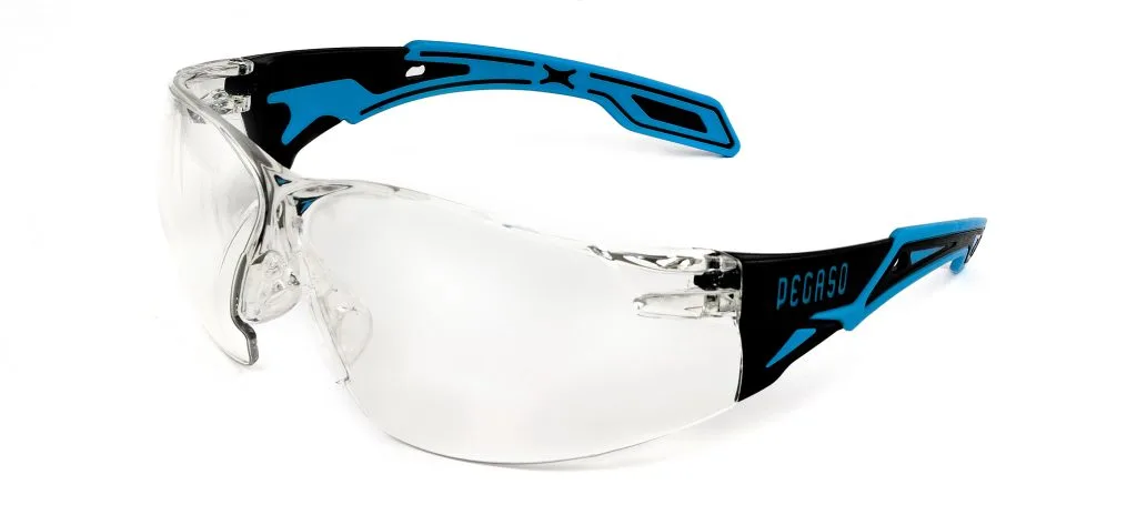 GAFAS DE SEGURIDAD PEGASO OMNIS 205.01