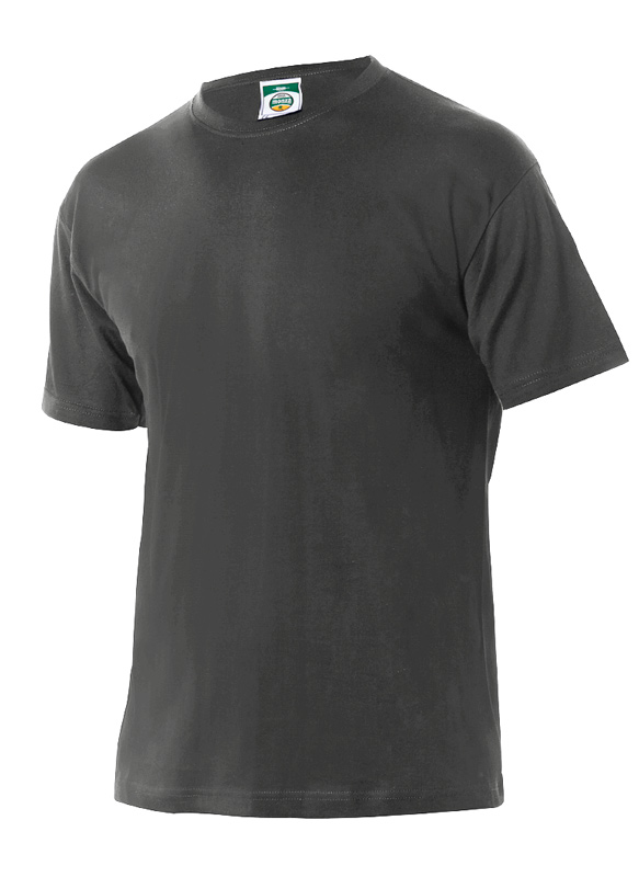 CAMISETA CONFORT FIT 03031 GRIS L