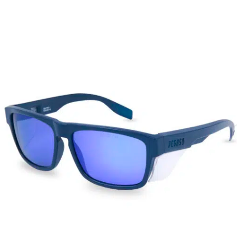 GAFAS PEGASO SOLAR BRAVE 139.31