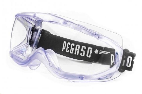 GAFAS DE SEGURIDAD PEGASO XL 21