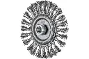 CARDA INOX RBG 12512/M14 0,35