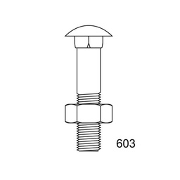 [603A210X100] TORNILLO DIN 603 INOX A2 10X100