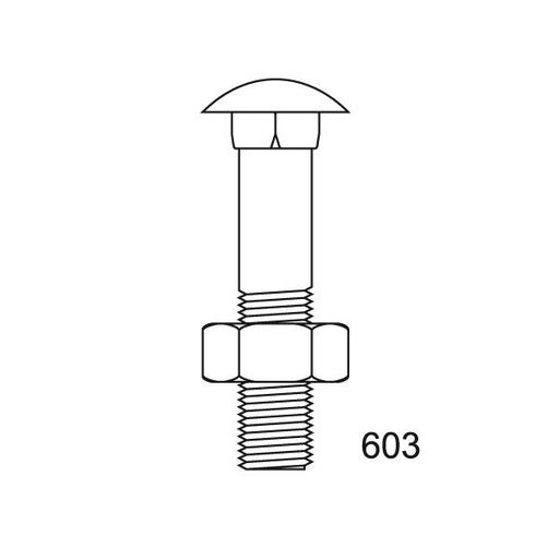 [603A210X100] TORNILLO DIN 603 INOX A2 10X100