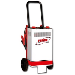 [FE925] CARGADOR BATERIA 35-55A 12-24V F925
