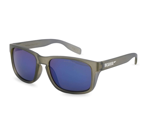 [PE19303] GAFAS PEGASO BULLDOG 193.03