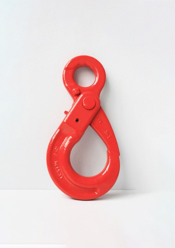 [BE7GCLS00078BEZ] GANCHO OJO DE SEGURIDAD CLS G-80 2000 kg